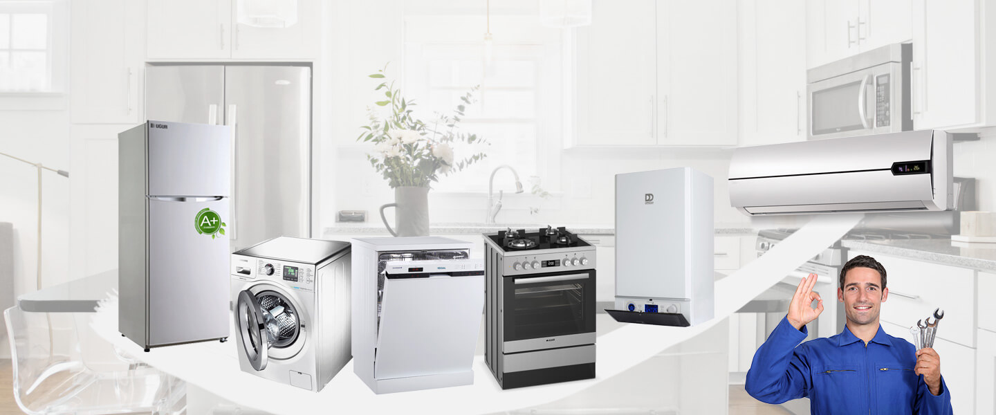 Saray Electrolux Servisi